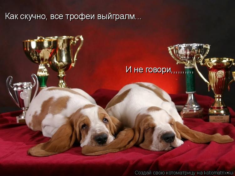 Как скучно, все трофеи выйгралм... И не говори,,,,,,,,,,... Котоматрица: Как скучно, все трофеи выйгралм... И не говори,,,,,,,,,,