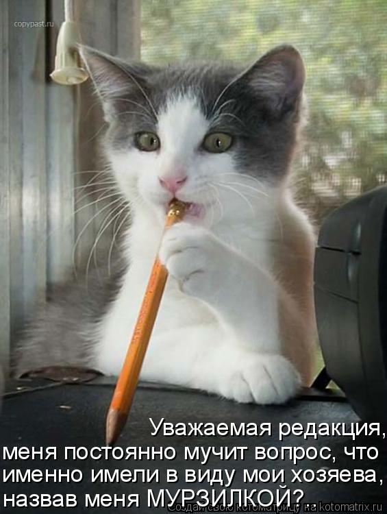 Уважаемая редакция, меня постоянно мучит вопрос, что именно имели в виду мои хозяева, назвав меня МУР... Котоматрица: Уважаемая редакция, меня постоянно мучит вопрос, что именно имели в виду мои хозяева, назвав меня МУРЗИЛКОЙ?..