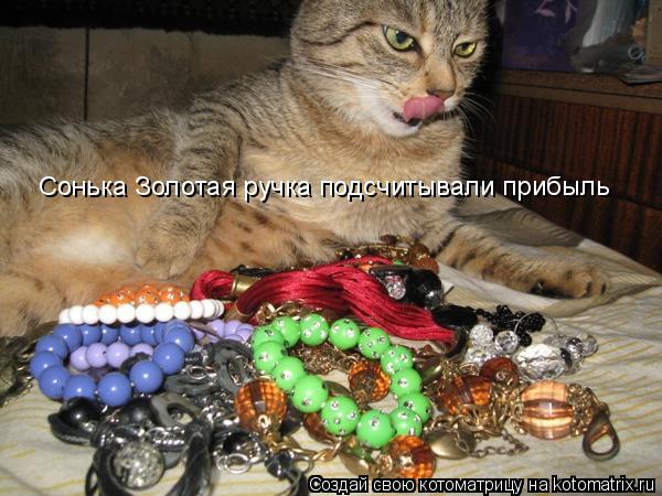 Сонька Золотая ручка подсчитывали прибыль... Котоматрица: Сонька Золотая ручка подсчитывали прибыль