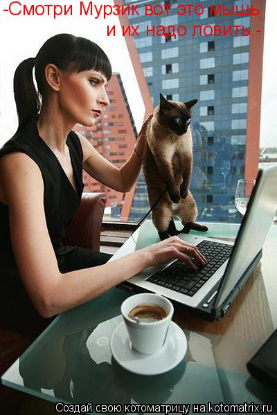 и их надо ловить.- -Смотри Мурзик вот это мышь... Котоматрица: и их надо ловить.- -Смотри Мурзик вот это мышь