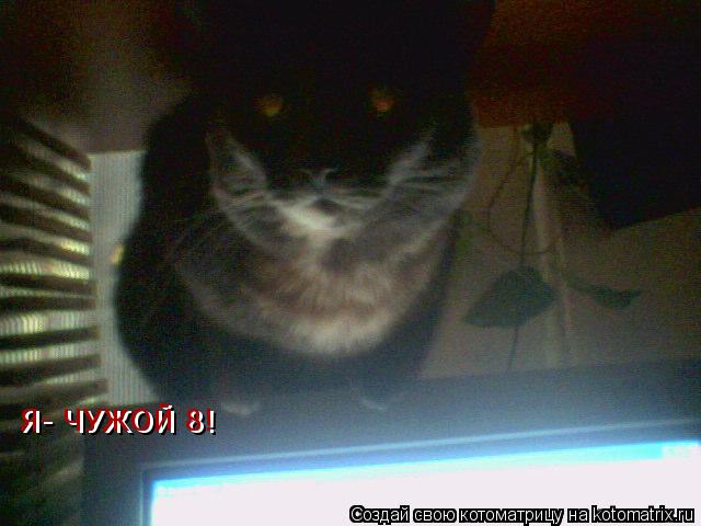 Я- ЧУЖОЙ 8! Я- ЧУЖОЙ 8!... Котоматрица: Я- ЧУЖОЙ 8! Я- ЧУЖОЙ 8!