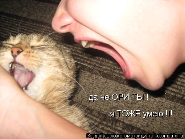 Котоматрица: да не ОРИ ТЫ ! я ТОЖЕ умею !!!