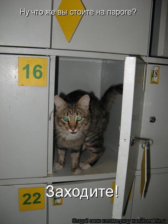 Ну что же вы стоите на пароге? Заходите!... Котоматрица: Ну что же вы стоите на пароге? Заходите!
