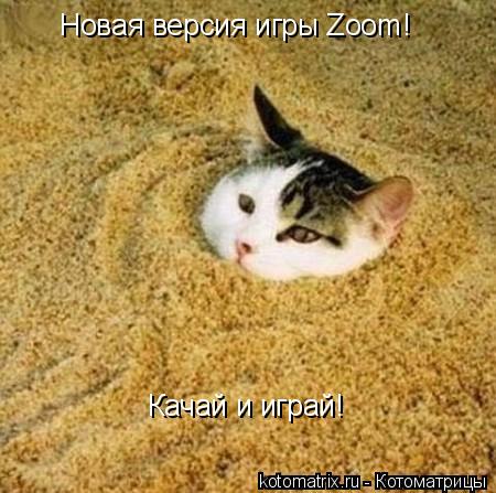 Новая версия игры Zoom! Качай и играй!... Котоматрица: Новая версия игры Zoom! Качай и играй!