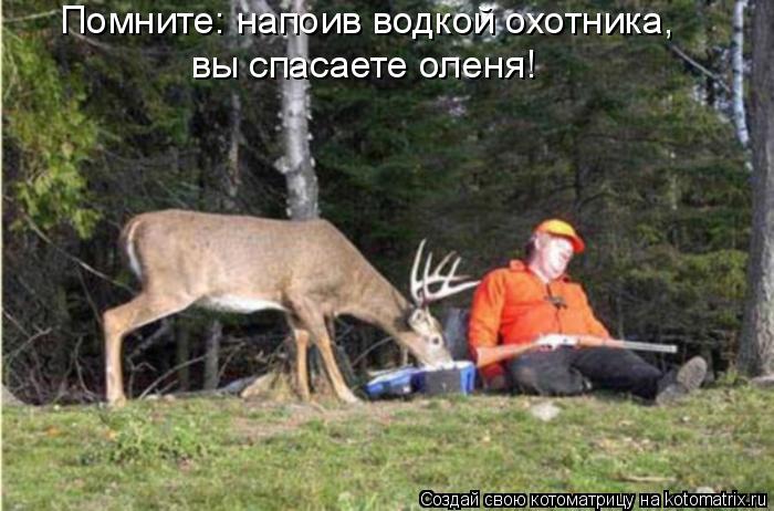 Помните: напоив водкой охотника, вы спасаете оленя!... Котоматрица: Помните: напоив водкой охотника, вы спасаете оленя!