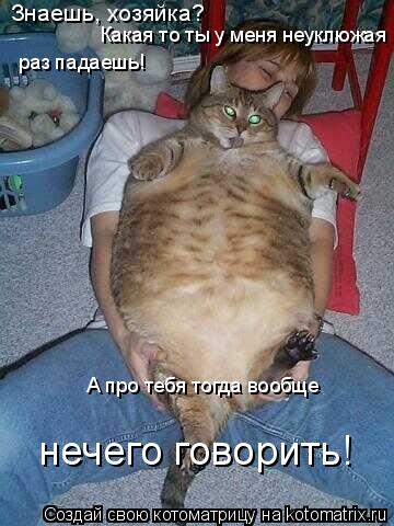 Знаешь, хозяйка? Какая то ты у меня неуклюжая раз падаешь! А про тебя тогда вообще нечего говорить!... Котоматрица: Знаешь, хозяйка? Какая то ты у меня неуклюжая раз падаешь! А про тебя тогда вообще нечего говорить!