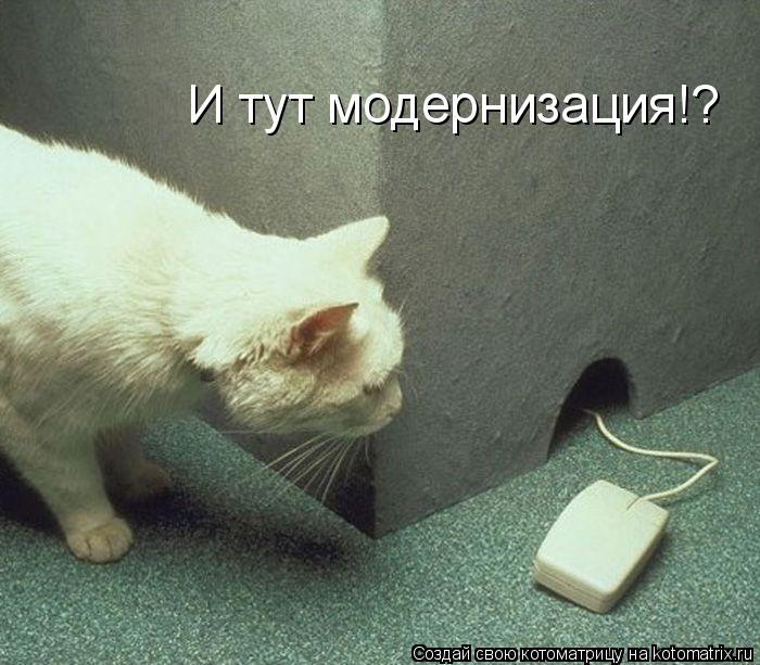 И тут модернизация!?... Котоматрица: И тут модернизация!?