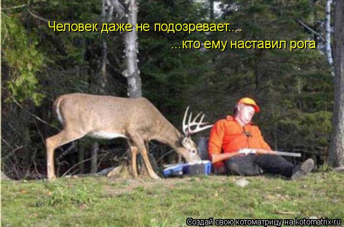 Котоматрица: Человек даже не подозревает.... ...кто ему наставил рога