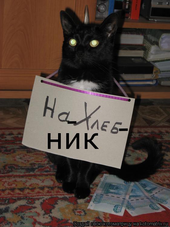 ник - -... Котоматрица: ник - -