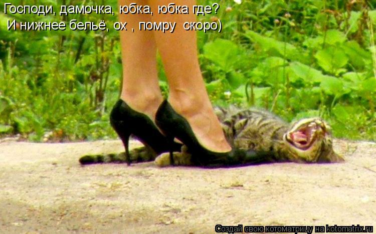 Господи, дамочка, юбка, юбка где? И нижнее бельё, ох , помру скоро)... Котоматрица: Господи, дамочка, юбка, юбка где? И нижнее бельё, ох , помру скоро)