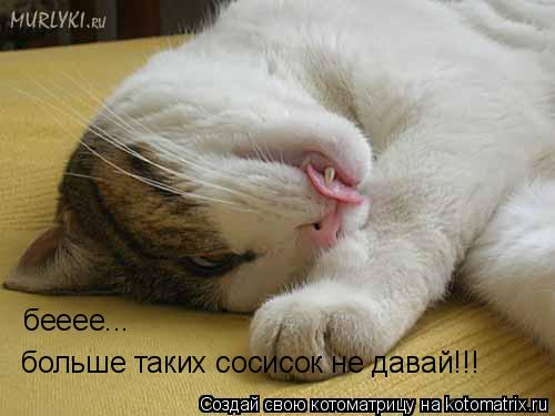 бееее... больше таких сосисок не давай!!!... Котоматрица: бееее... больше таких сосисок не давай!!!