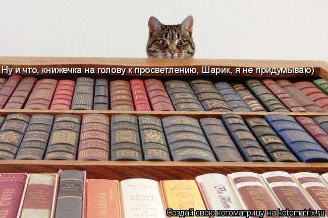 Ну и что, книжечка на голову к просветлению, Шарик, я не придумываю)... Котоматрица: Ну и что, книжечка на голову к просветлению, Шарик, я не придумываю)