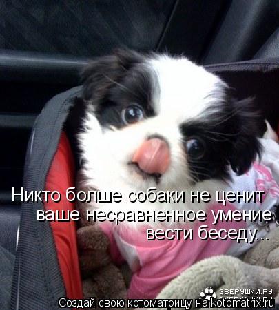 Никто болше собаки не ценит ваше несравненное умение вести беседу...... Котоматрица: Никто болше собаки не ценит ваше несравненное умение вести беседу...