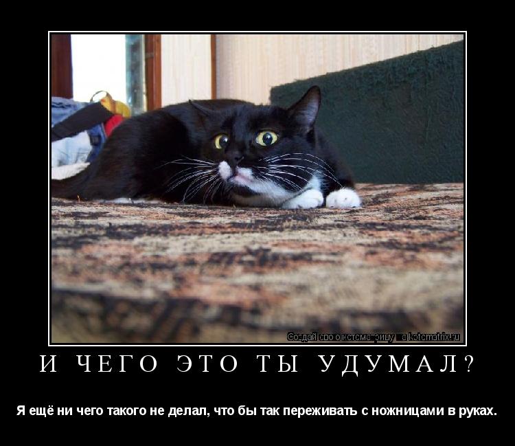 И чего это ты удумал? Я ещё ни чего такого не делал, что бы так переживать с ножницами в руках.... Котоматрица: И чего это ты удумал? Я ещё ни чего такого не делал, что бы так переживать с ножницами в руках.