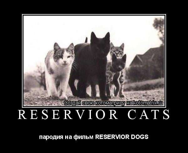 RESERVIOR CATS пародия на фильм RESERVIOR DOGS... Котоматрица: RESERVIOR CATS пародия на фильм RESERVIOR DOGS