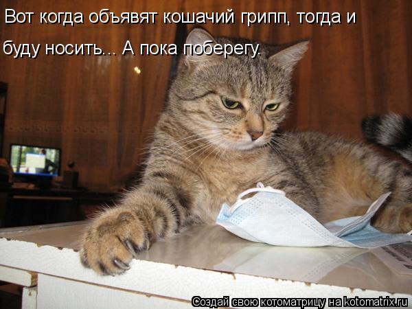 Вот когда объявят кошачий грипп, тогда и буду носить... А пока поберегу.... Котоматрица: Вот когда объявят кошачий грипп, тогда и буду носить... А пока поберегу.
