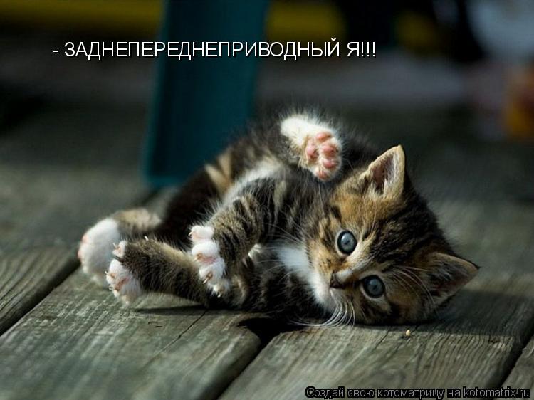 - ЗАДНЕПЕРЕДНЕПРИВОДНЫЙ Я!!!... Котоматрица: - ЗАДНЕПЕРЕДНЕПРИВОДНЫЙ Я!!!