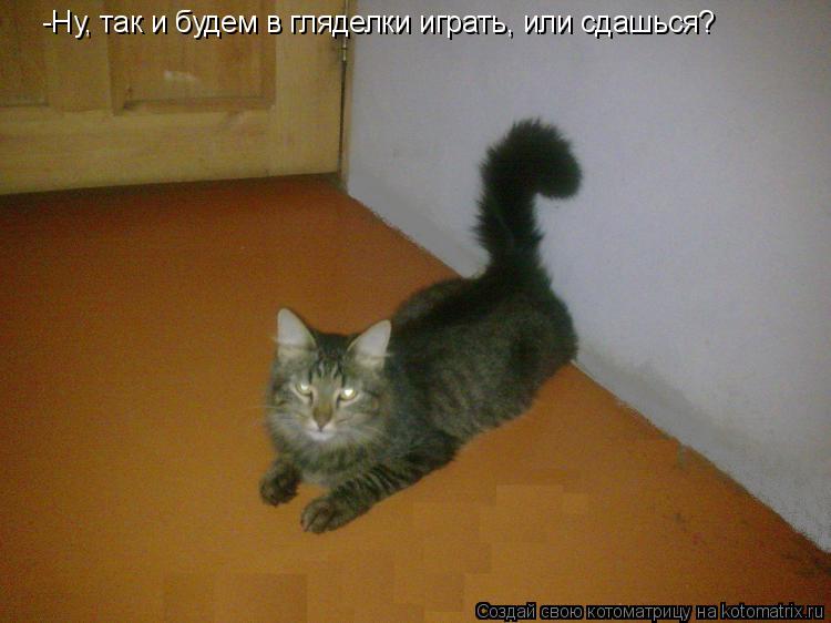 Котоматрица: -Ну, так и будем в гляделки играть, или сдашься?