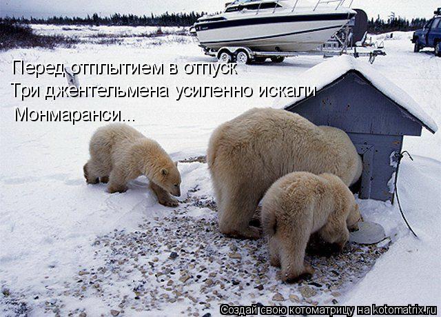 Котоматрица: Перед отплытием в отпуск Три джентельмена усиленно искали Монмаранси...