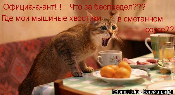 Котоматрица: Официа-а-ант!!! Что за беспредел??? Где мои мышиные хвостики  в сметанном соусе??