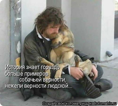 Котоматрица: История знает гораздо больше примеров собачьей верности, нежели верности людской...