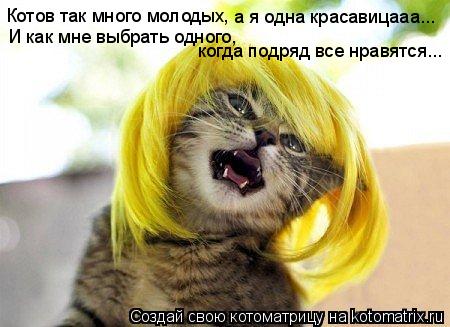 Котов так много молодых, а я одна красавицааа... И как мне выбрать одного, И как мне выбрать одного,к... Котоматрица: Котов так много молодых, а я одна красавицааа... И как мне выбрать одного, И как мне выбрать одного,кк когда подряд все нравятся...