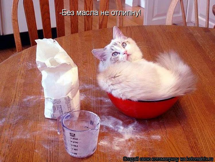 Котоматрица: -Без масла не отлипну!