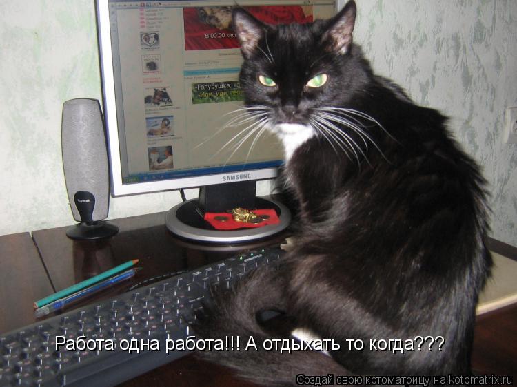 Котоматрица: Работа одна работа!!! А отдыхать то когда???