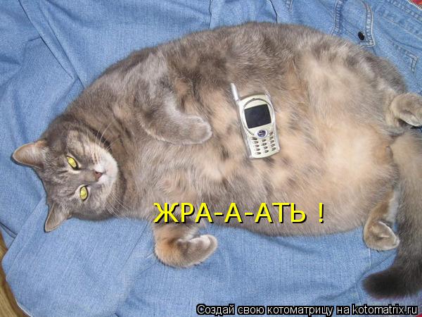 Котоматрица: ЖРА-А-АТЬ !