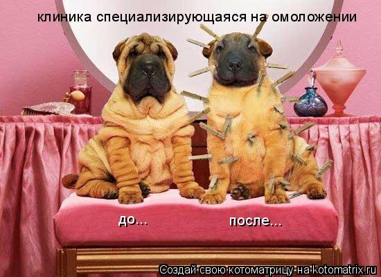клиника специализирующаяся на омоложении до... после...... Котоматрица: клиника специализирующаяся на омоложении до... после...