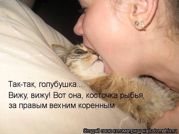 Так-так, голубушка.... Вижу, вижу! Вот она, косточка рыбья, за правым вехним коренным... Котоматрица: Так-так, голубушка.... Вижу, вижу! Вот она, косточка рыбья, за правым вехним коренным