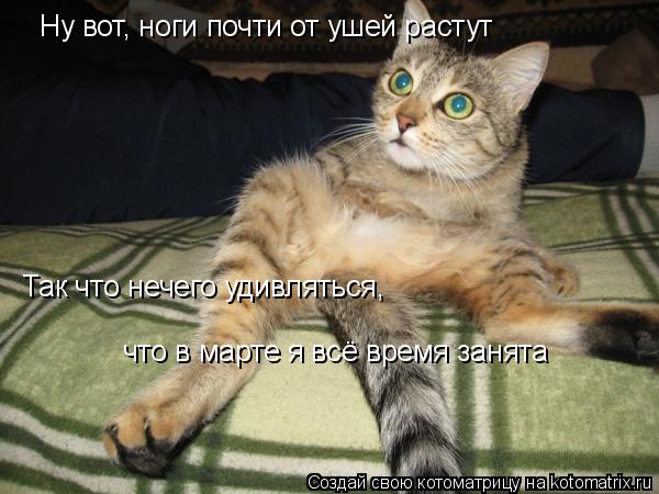 Ну вот, ноги почти от ушей растут Так что нечего удивляться, что в марте я всё время занята... Котоматрица: Ну вот, ноги почти от ушей растут Так что нечего удивляться, что в марте я всё время занята