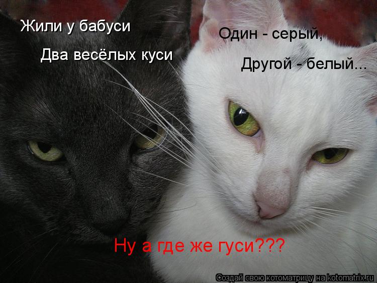 Ну а где же гуси??? Жили у бабуси Два весёлых куси Один - серый, Другой - белый...... Котоматрица: Ну а где же гуси??? Жили у бабуси Два весёлых куси Один - серый, Другой - белый...