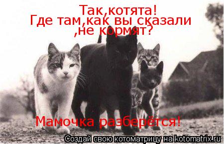 Так,котята! Где там,как вы сказали ,не кормят? Мамочка разберётся!... Котоматрица: Так,котята! Где там,как вы сказали ,не кормят? Мамочка разберётся!