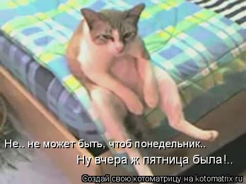 Не.. не может быть, чтоб понедельник.. Ну вчера ж пятница была!..... Котоматрица: Не.. не может быть, чтоб понедельник.. Ну вчера ж пятница была!..