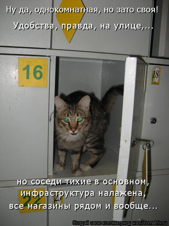 Ну да, однокомнатная, но зато своя! Удобства, правда, на улице,... но соседи тихие в основном, инфрас... Котоматрица: Ну да, однокомнатная, но зато своя! Удобства, правда, на улице,... но соседи тихие в основном, инфраструктура налажена, все магазины рядом и во