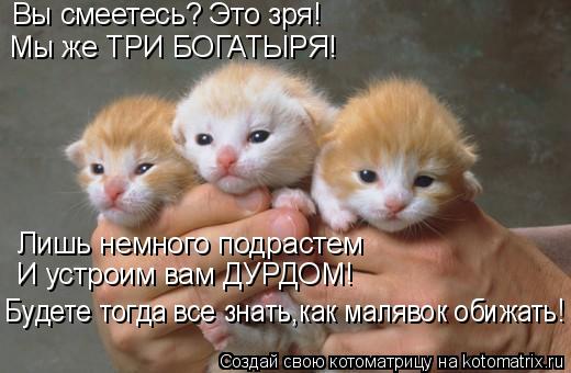 Вы смеетесь? Это зря! Мы же ТРИ БОГАТЫРЯ! Лишь немного подрастем И устроим вам ДУРДОМ! Будете тогда ... Котоматрица: Вы смеетесь? Это зря! Мы же ТРИ БОГАТЫРЯ! Лишь немного подрастем И устроим вам ДУРДОМ! Будете тогда все знать,как малявок обижать!