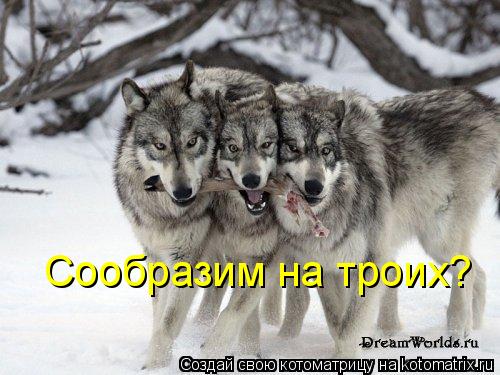 Сообразим на троих?... Котоматрица: Сообразим на троих?