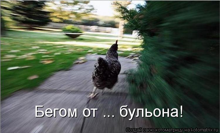 Бегом от ... бульона!... Котоматрица: Бегом от ... бульона!