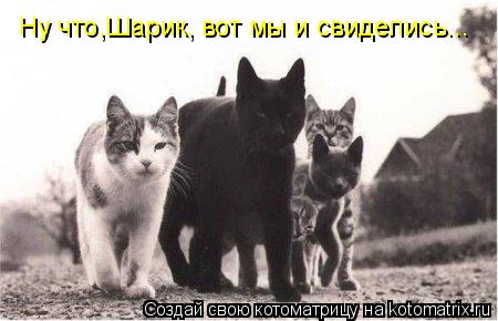 Ну что,Шарик, вот мы и свиделись...... Котоматрица: Ну что,Шарик, вот мы и свиделись...