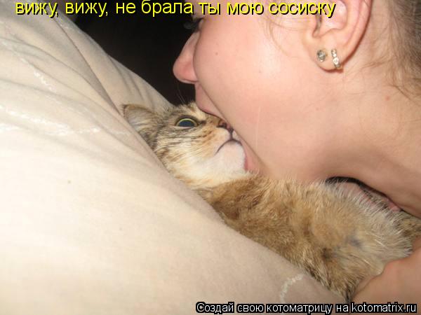 вижу, вижу, не брала ты мою сосиску... Котоматрица: вижу, вижу, не брала ты мою сосиску