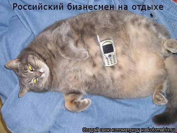 Российский бизнесмен на отдыхе... Котоматрица: Российский бизнесмен на отдыхе