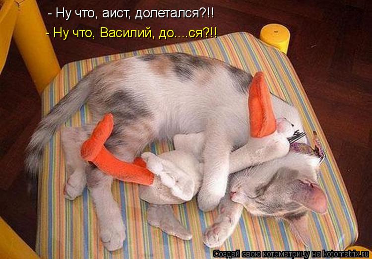 - Ну что, аист, долетался?!! - Ну что, Василий, до....ся?!!... Котоматрица: - Ну что, аист, долетался?!! - Ну что, Василий, до....ся?!!