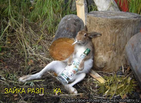 ЗАЙКА РАЗП.....КА.... Котоматрица: ЗАЙКА РАЗП.....КА.