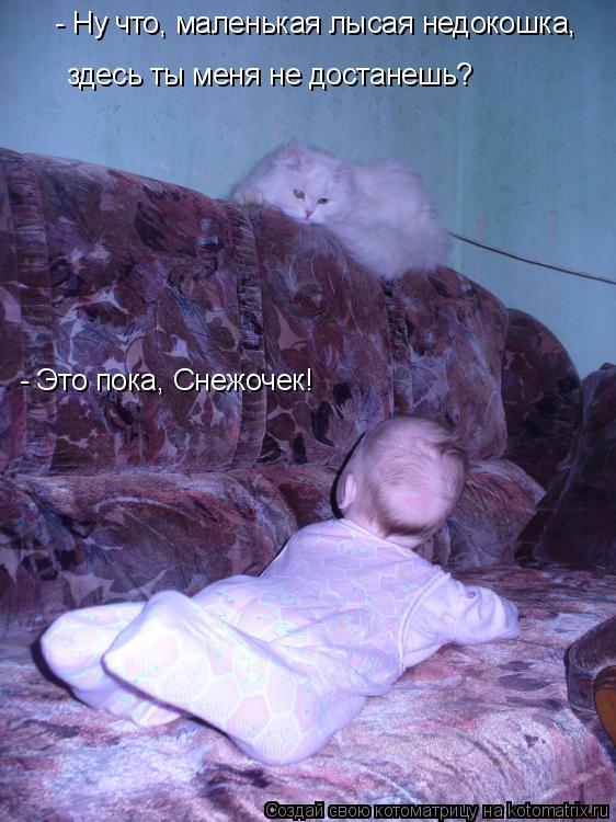 здесь ты меня не достанешь? - Ну что, маленькая лысая недокошка, - Это пока, Снежочек!... Котоматрица: здесь ты меня не достанешь? - Ну что, маленькая лысая недокошка, - Это пока, Снежочек!