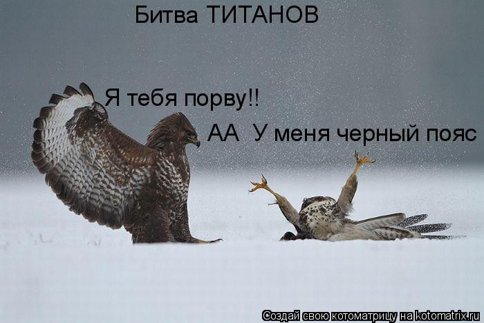 Битва ТИТАНОВ Я тебя порву!! АА У меня черный пояс... Котоматрица: Битва ТИТАНОВ Я тебя порву!! АА У меня черный пояс