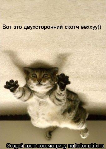 Вот это двухсторонний скотч ееххуу))... Котоматрица: Вот это двухсторонний скотч ееххуу))