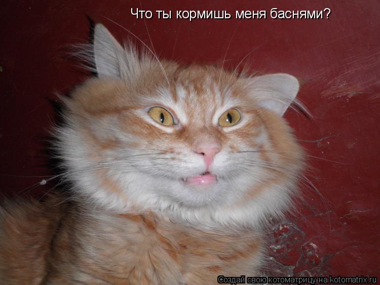 Что ты кормишь меня баснями?... Котоматрица: Что ты кормишь меня баснями?