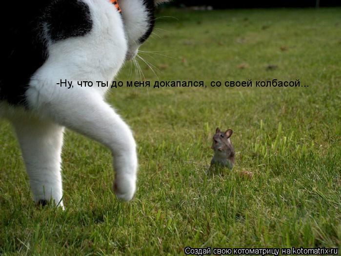 -Ну, что ты до меня докапался, со своей колбасой...... Котоматрица: -Ну, что ты до меня докапался, со своей колбасой...