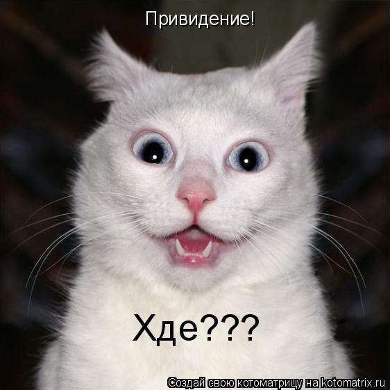 Привидение! Хде???... Котоматрица: Привидение! Хде???